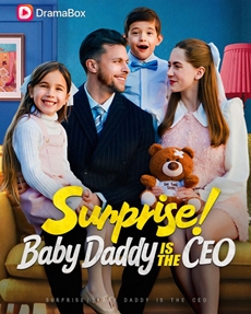 surprise baby daddy is the ceo